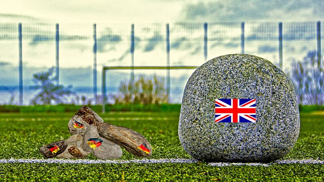 上也进行了 上也进行了