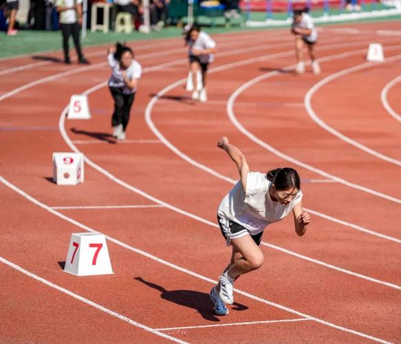 自己的辉煌 自己的辉煌