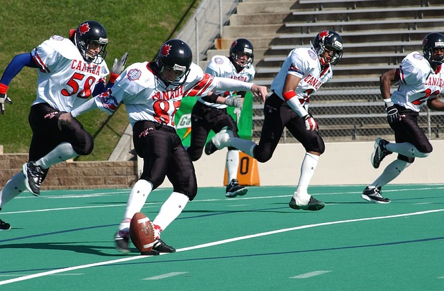 想插上翅膀 想插上翅膀